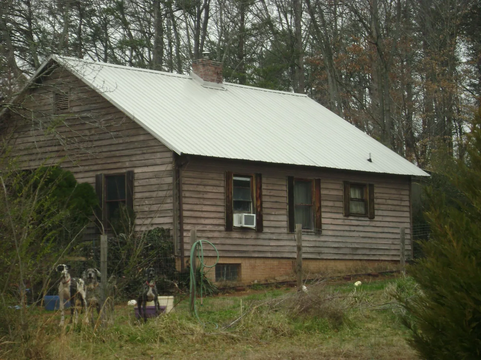 White metal roof on an old wood sided farmhouse, from a Asphalt Shingle Roof Repair job in Williston
